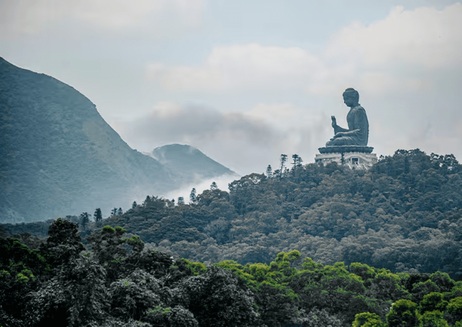 Discover The Top 6 Rare Treasures of Hong Kong background